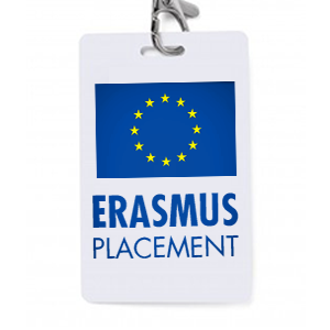 Erasmus placement