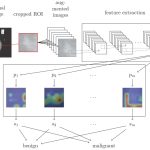 Bajcsi Adél doktori értekezésének védése: Interpretable Machine Learning Detection and Diagnosis Systems for Medical Data Analysis
