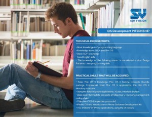 Softvision practica 2014