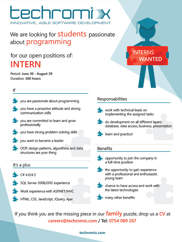 Techromix 2014 Internship