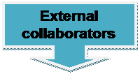 Down Arrow Callout: External collaborators

